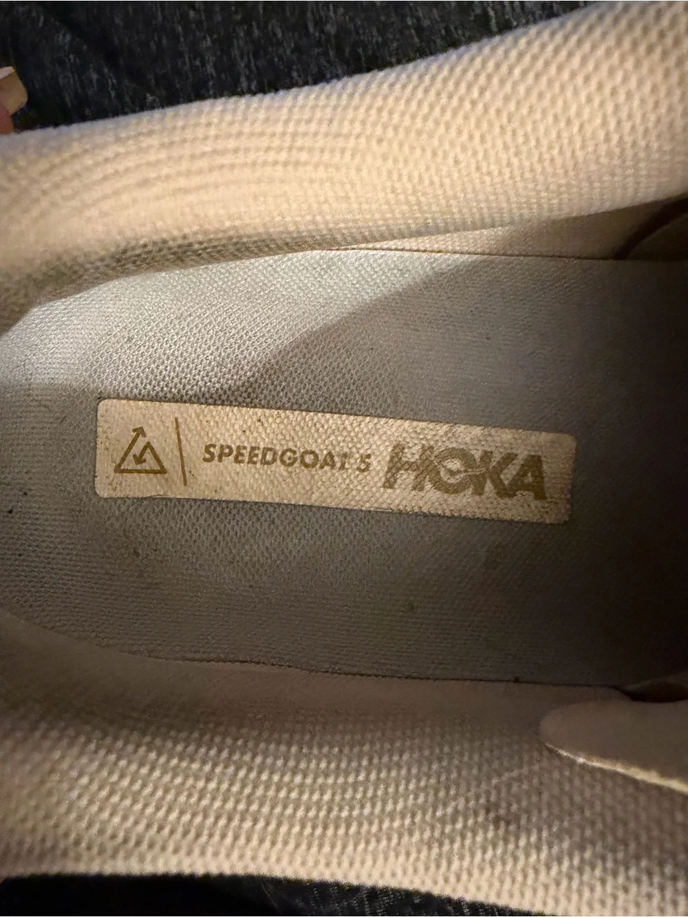 HOKA ONE ONE Speedgoat 5 Men's Sz 12D Vanilla Wheat Running